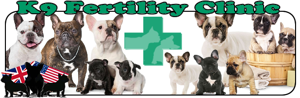 Cranfield K9 Fertility Clinic
